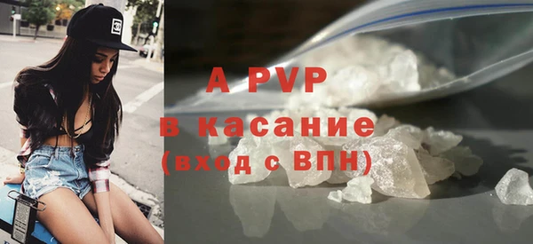 PSILOCYBIN Михайлов