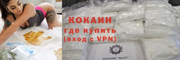 PSILOCYBIN Михайлов