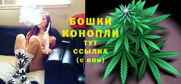 молекула духа Навашино