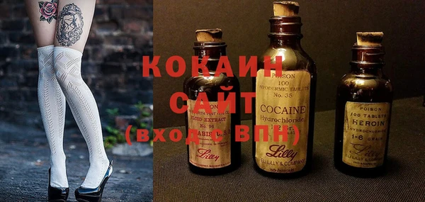 PSILOCYBIN Михайлов
