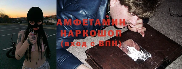 PSILOCYBIN Михайлов