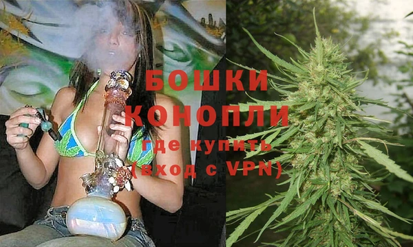 PSILOCYBIN Михайлов